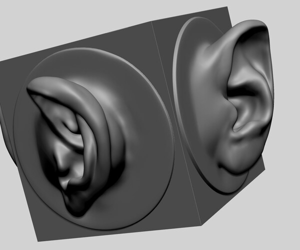 ArtStation - Ear Models for 3DPrint | Resources