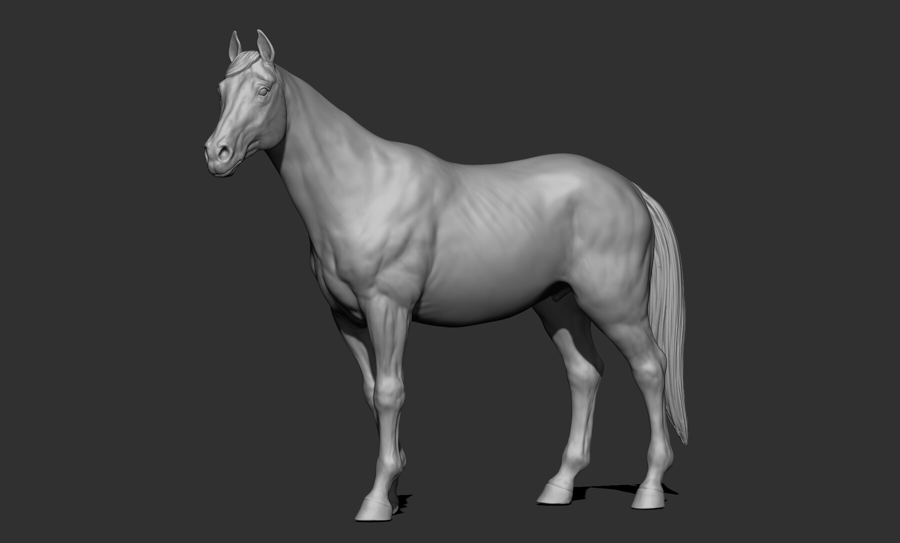 Horse  T-Pose - Buy Royalty Free 3D model by BreathTime (@BreathTime)  [364b8dc]