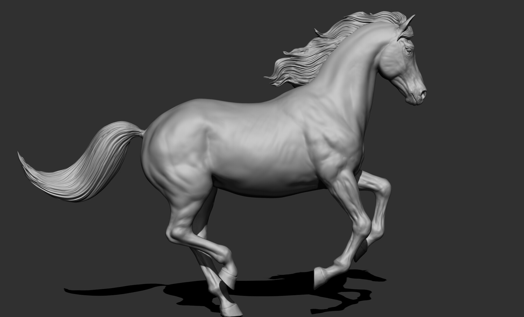 Horse  T-Pose - Buy Royalty Free 3D model by BreathTime (@BreathTime)  [364b8dc]