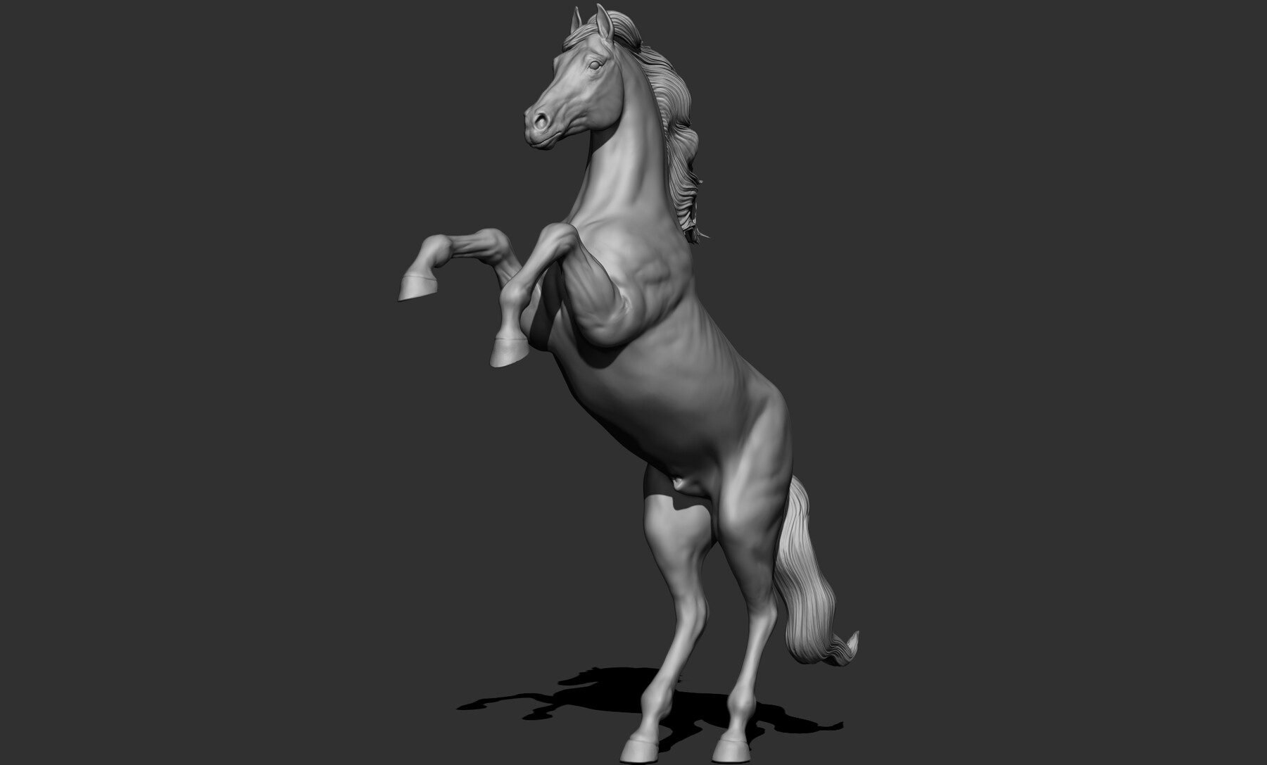 Horse  T-Pose - Buy Royalty Free 3D model by BreathTime (@BreathTime)  [364b8dc]