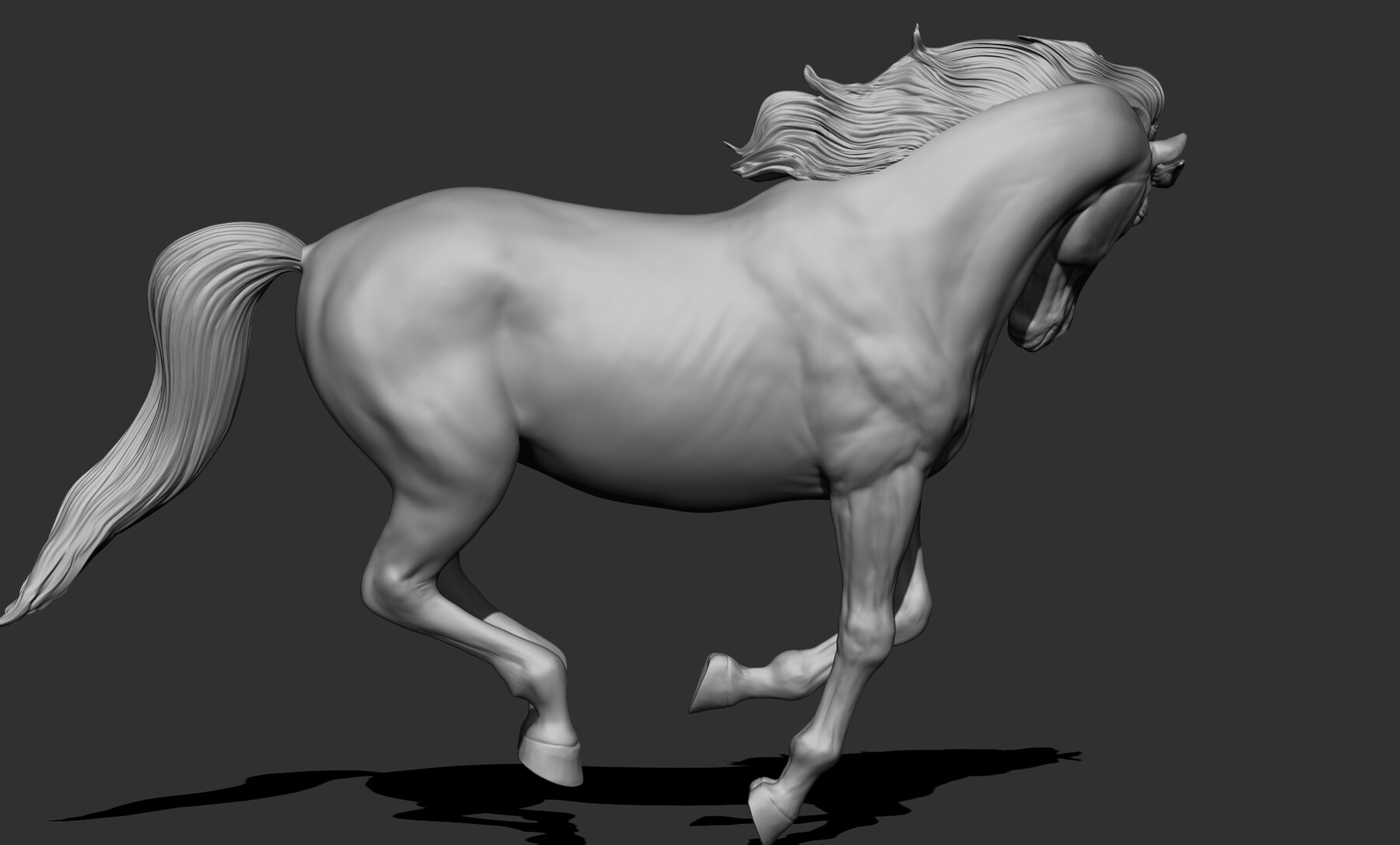 Horse  T-Pose - Buy Royalty Free 3D model by BreathTime (@BreathTime)  [364b8dc]