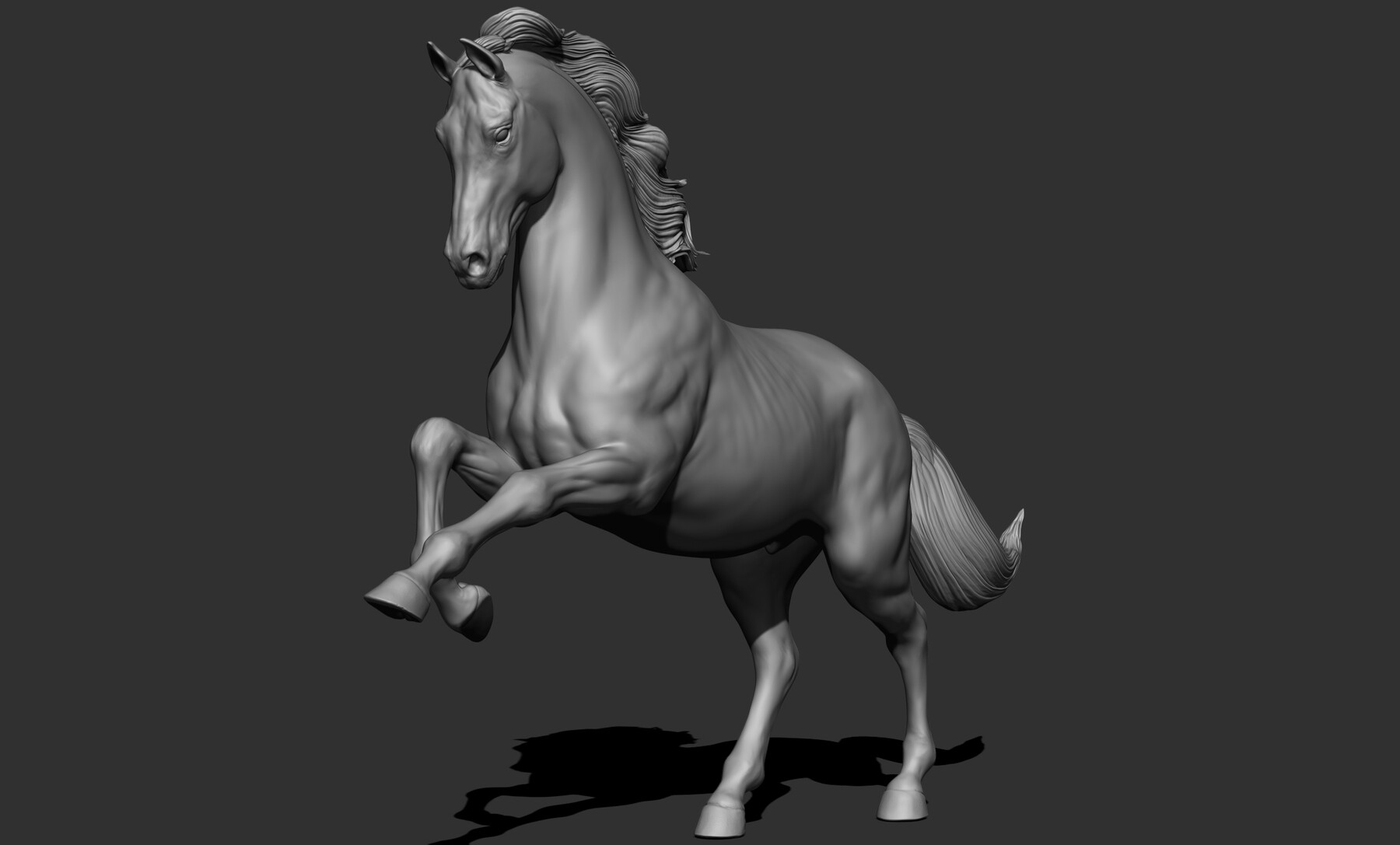 Horse  T-Pose - Buy Royalty Free 3D model by BreathTime (@BreathTime)  [364b8dc]