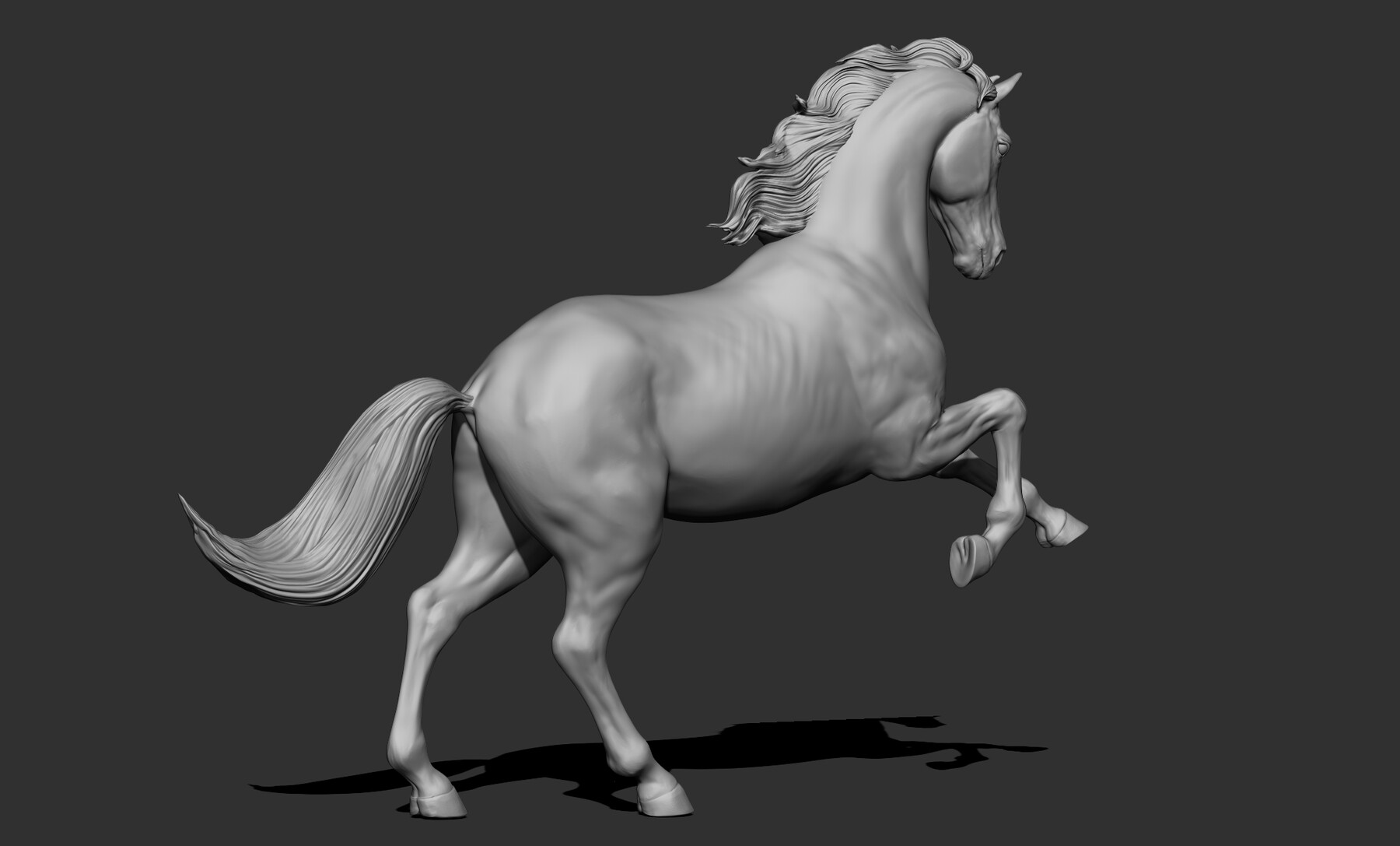 Horse  T-Pose - Buy Royalty Free 3D model by BreathTime (@BreathTime)  [364b8dc]