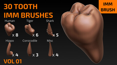 30 Tooth IMM Brushes for ZBrush + FBX - VOL 01