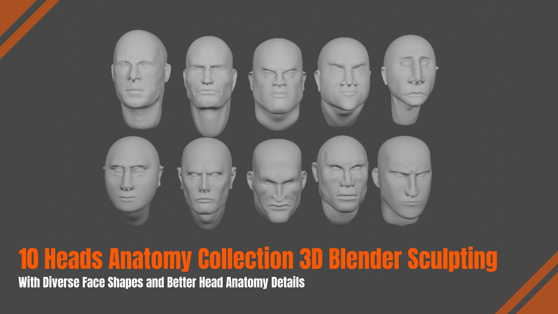 ArtStation - 10 HEADS ANATOMY COLLECTION 3D BLENDER SCULPTING | Resources