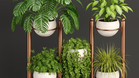 indoor plants collection vol 37