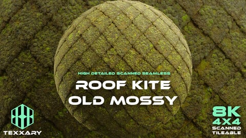 T071 Roof Kite Old Mossy 4x4 | Scanned Material