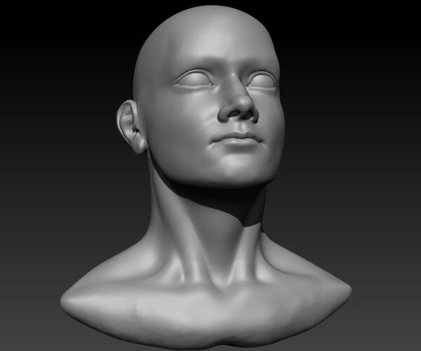 ArtStation - Base Sculpted Head | Resources