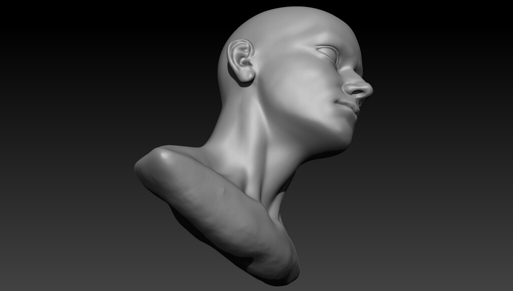 ArtStation - Base Sculpted Head | Resources