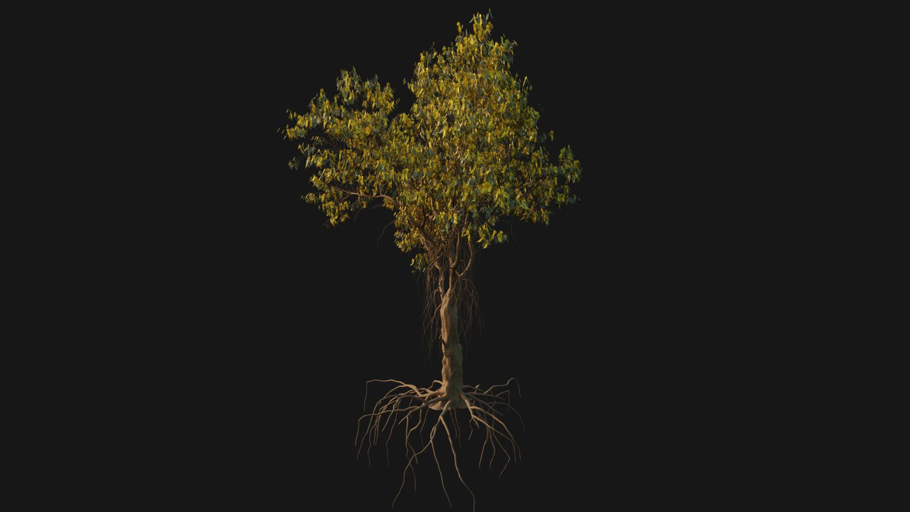 ArtStation - Tree Pack | Resources