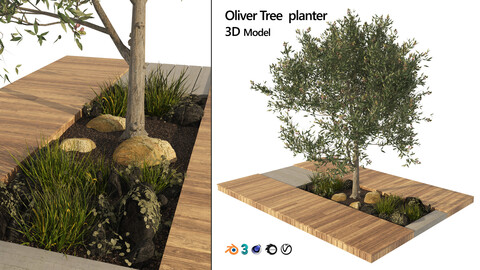 wood deck planter with olive tree