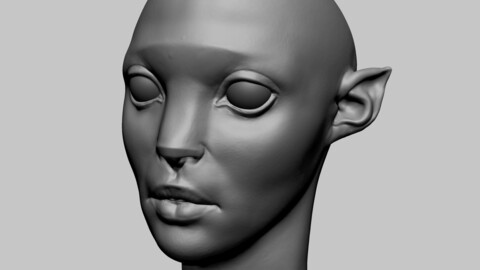 Fantasy Female Head L