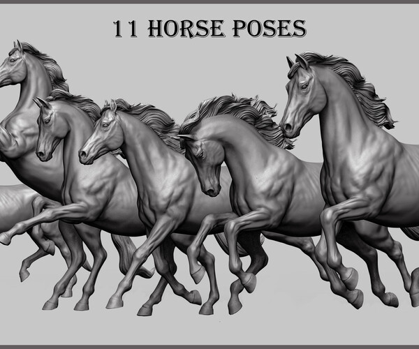Drawing Horses In Fantastic Action
