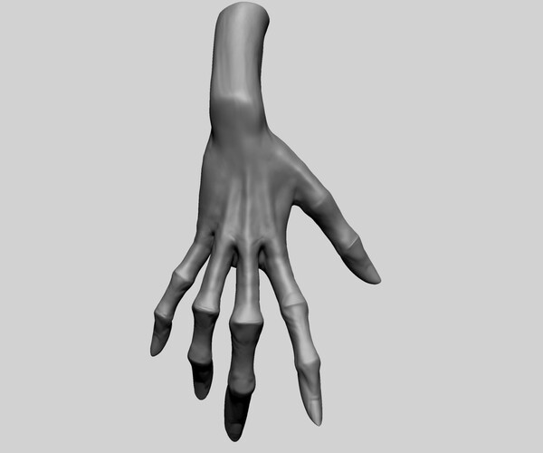 ArtStation - Creature Hand | Resources