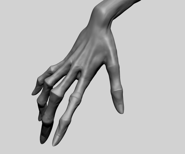 ArtStation - Creature Hand | Resources