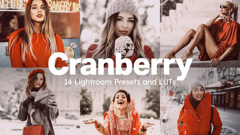 14 Cranberry Lightroom Presets and LUTs