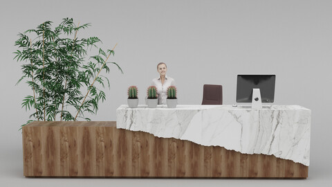 Reception Desk - 046