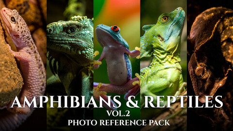 Amphibians & Reptiles vol.2- Photo Referecne Pack For Artists 432 JPEGs noAI