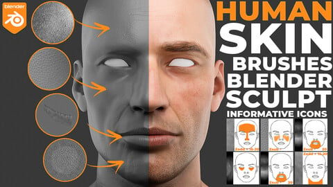 Blender Human Skin Brushes