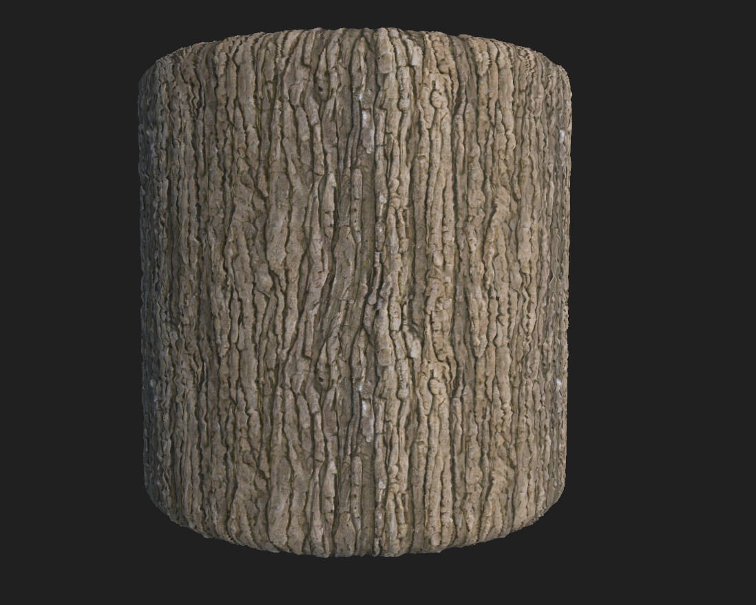 ArtStation - Tree Bark | Resources