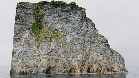 Large Coastal Cliff PBR Scan 04 & Highpoly