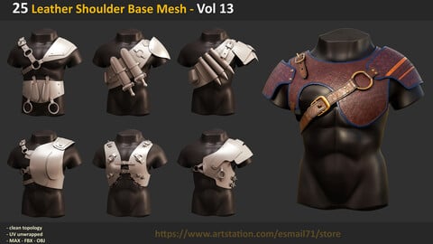 25 Leather Shoulder Base Mesh - Vol 13