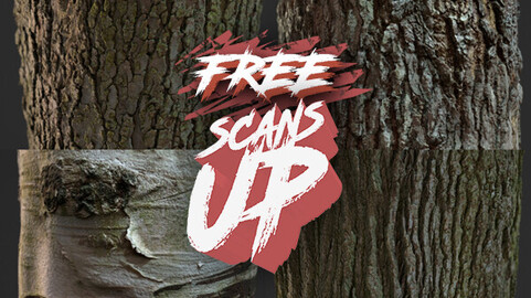 ScansUp: Tree Bark Pack 01 - Photogrammetry Materials - Free!