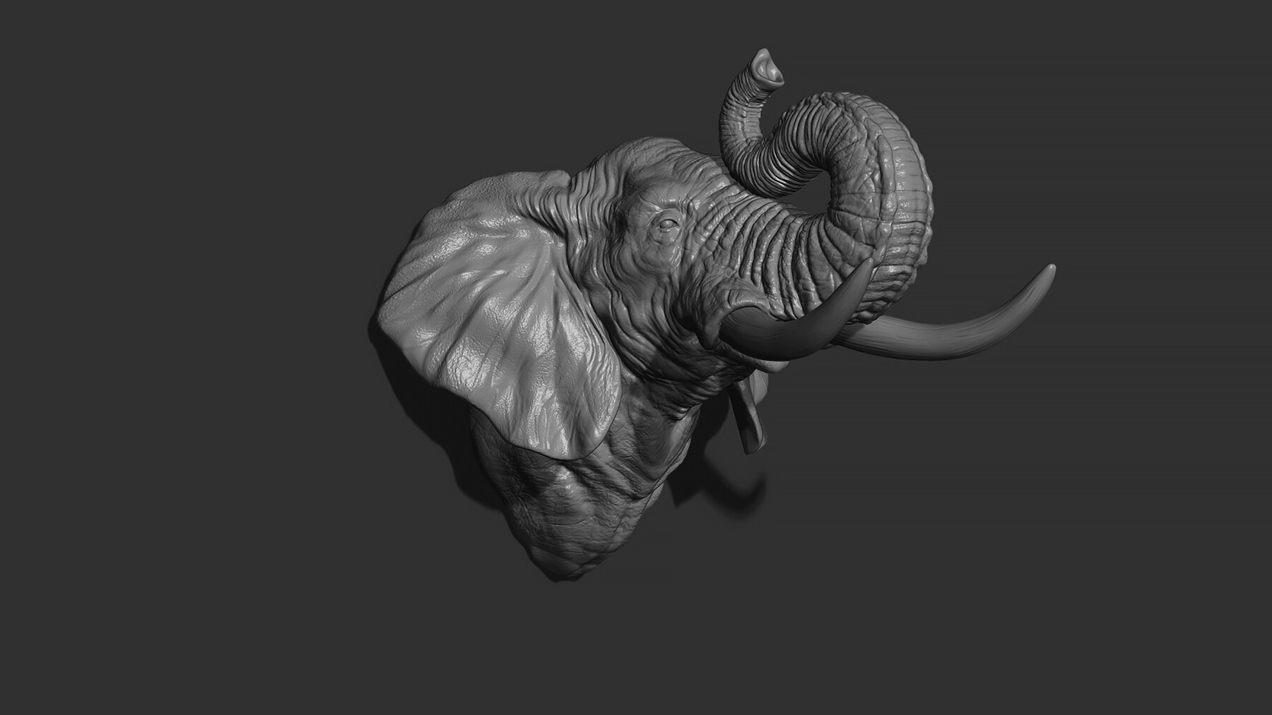 ArtStation - Elephant raised its trunk | Resources