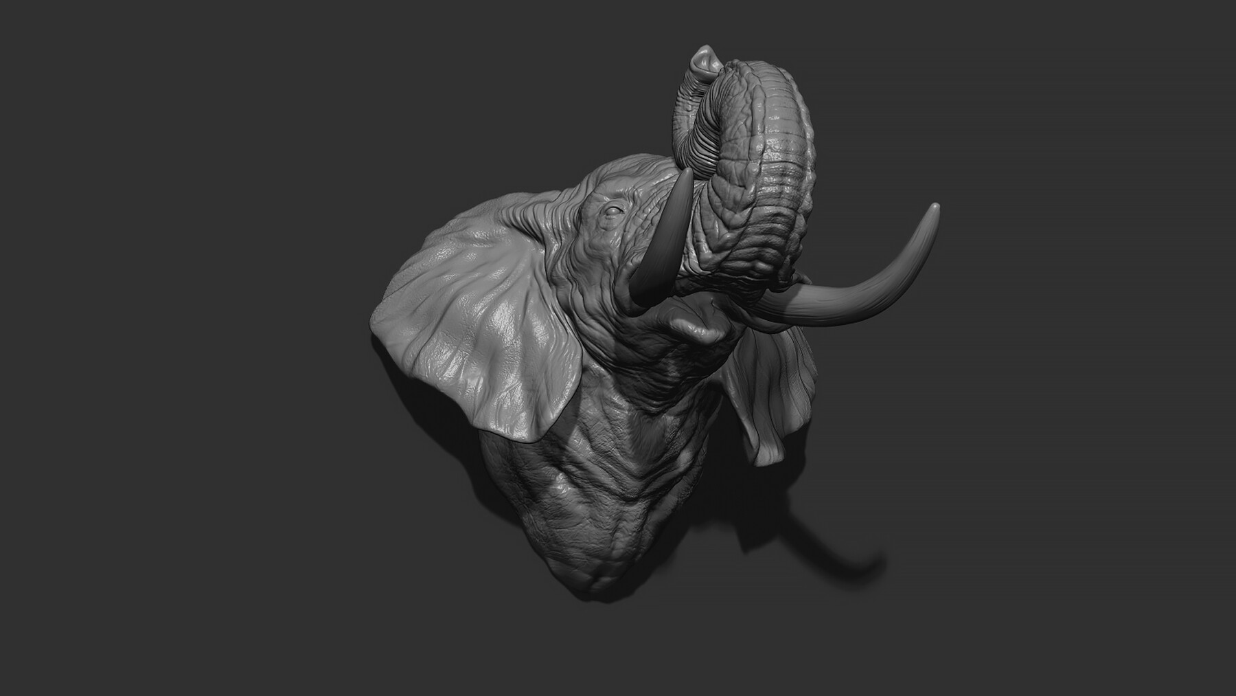 ArtStation - Elephant raised its trunk | Resources