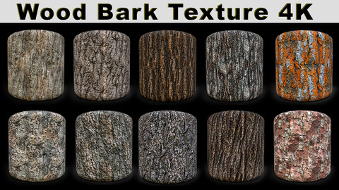 Wood Bark Texture 4K