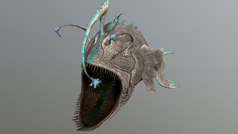 ANGLER FISH - 3D Model