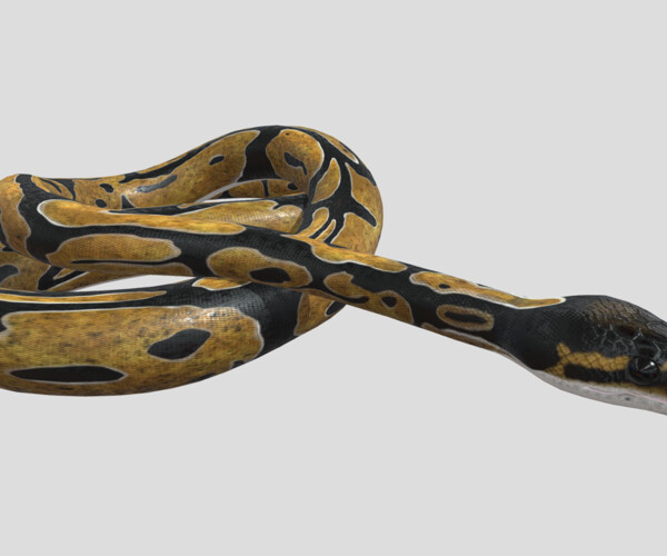 ArtStation - PYTHON - 3D MODEL | Resources