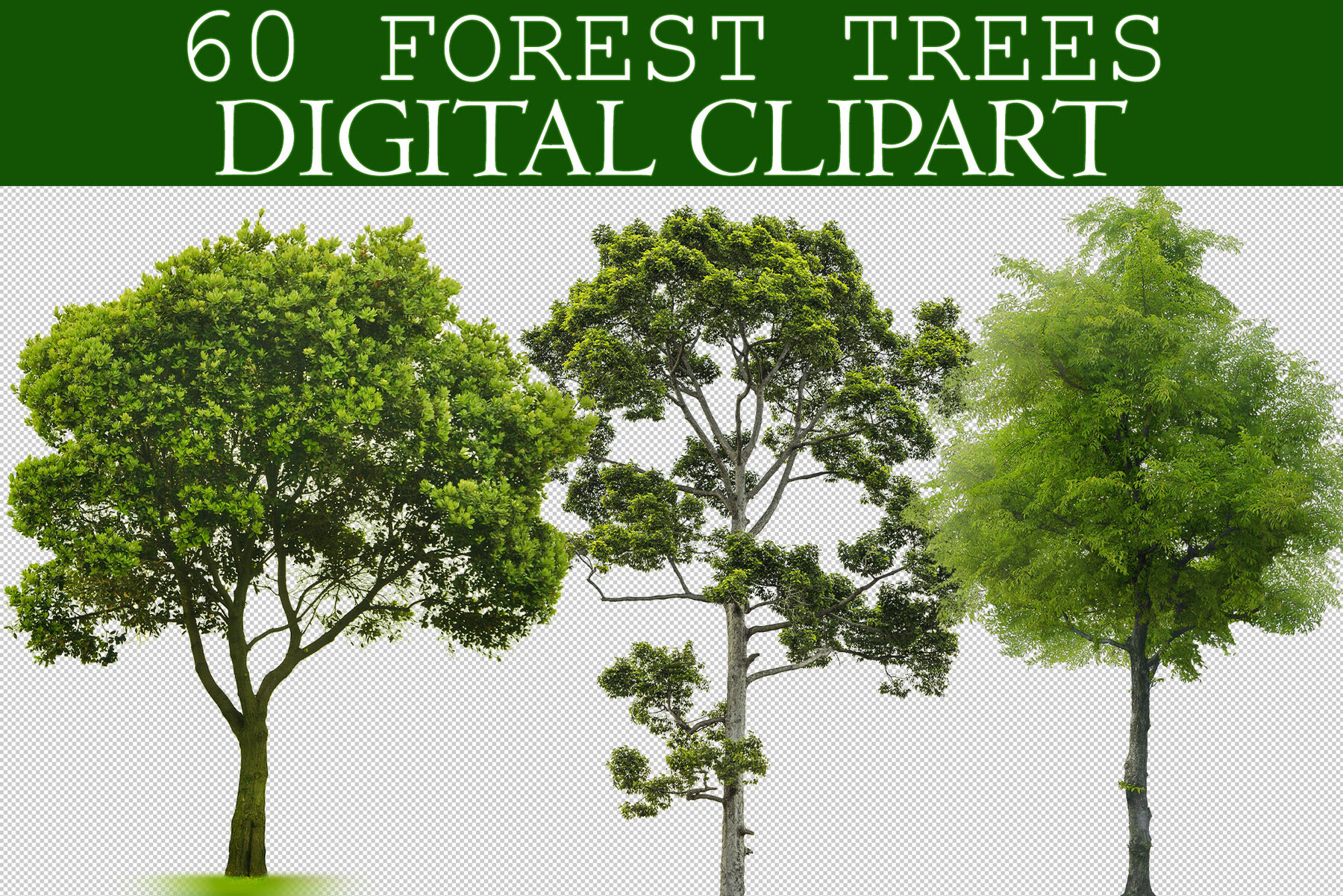 ArtStation - 5000+ Photo Overlays MEGA Bundle, Autumn Spring Forest ...