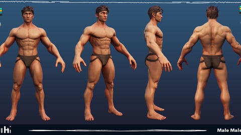 Stylized Male Anatomy Game Model