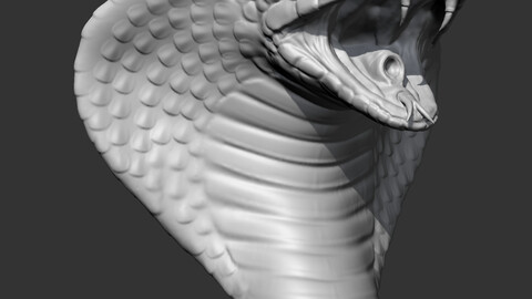 STL file Bald Eagle Head AM07 3D print model 👨‍🦲・Design to