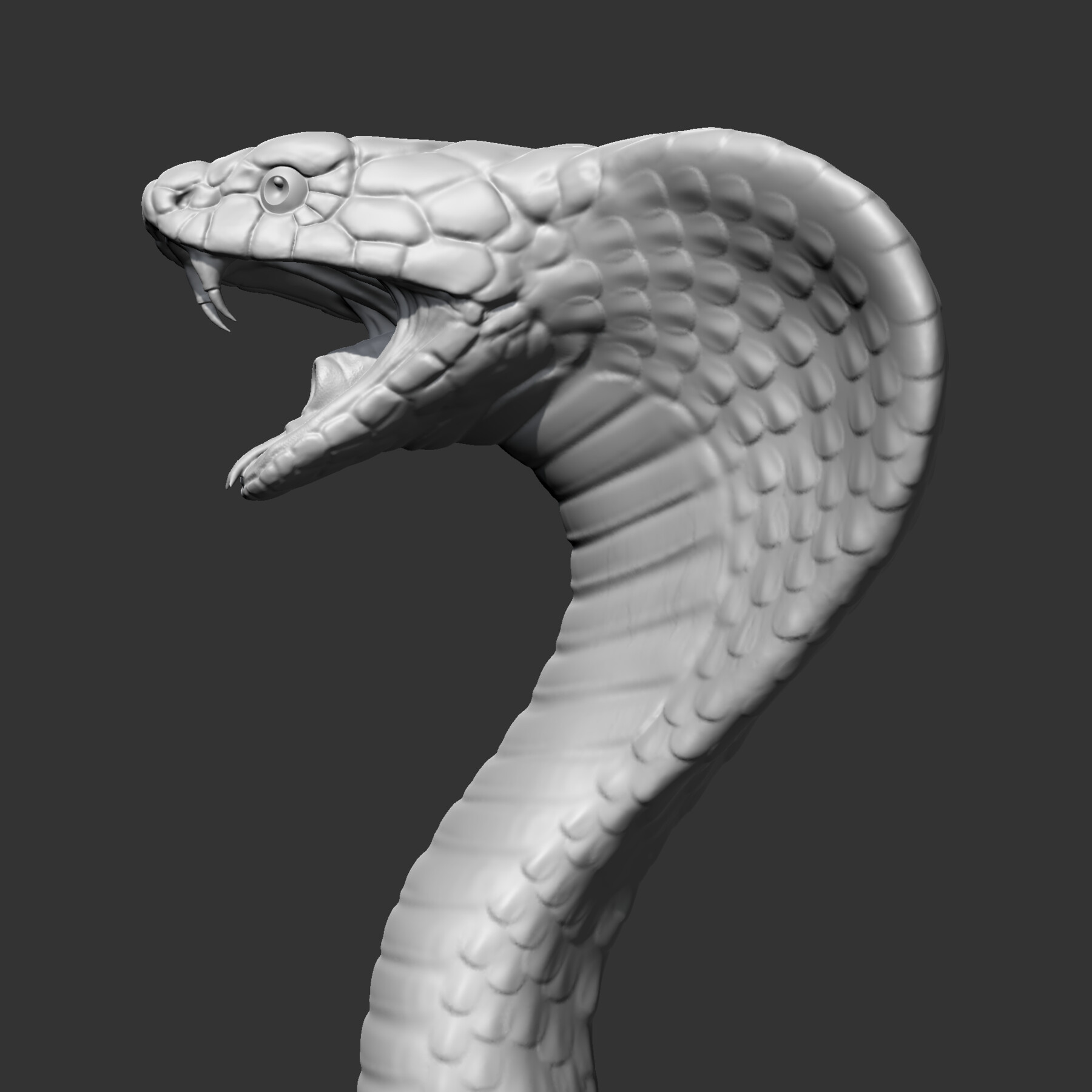 Cobra Snake | 3D Print Model