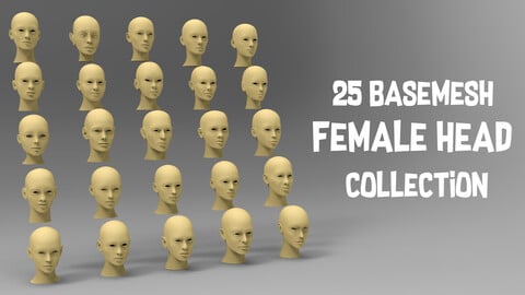 25 Basemesh female head collection