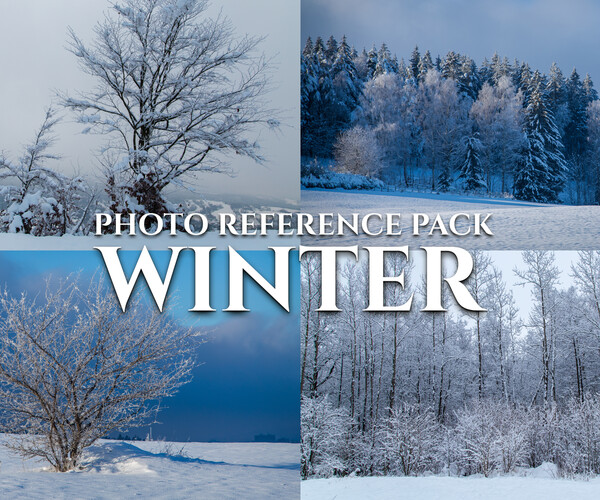 ArtStation - Winter - Reference Photo Pack For Artists 511 JPEGs noAI ...