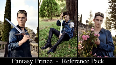 x330 Fantasy Prince - Stock Model Pose Reference Pack