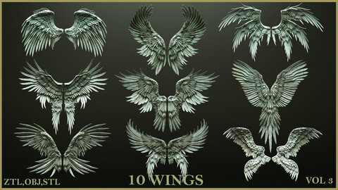 10 Wings High-Poly 3D Models  ZTL+OBJ+STL