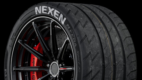 Nexen N Fera Sport R • 315/30 ZR18 (98W) (Real World Details)