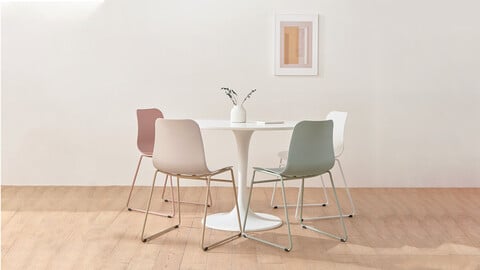 Neutral chair dining chair