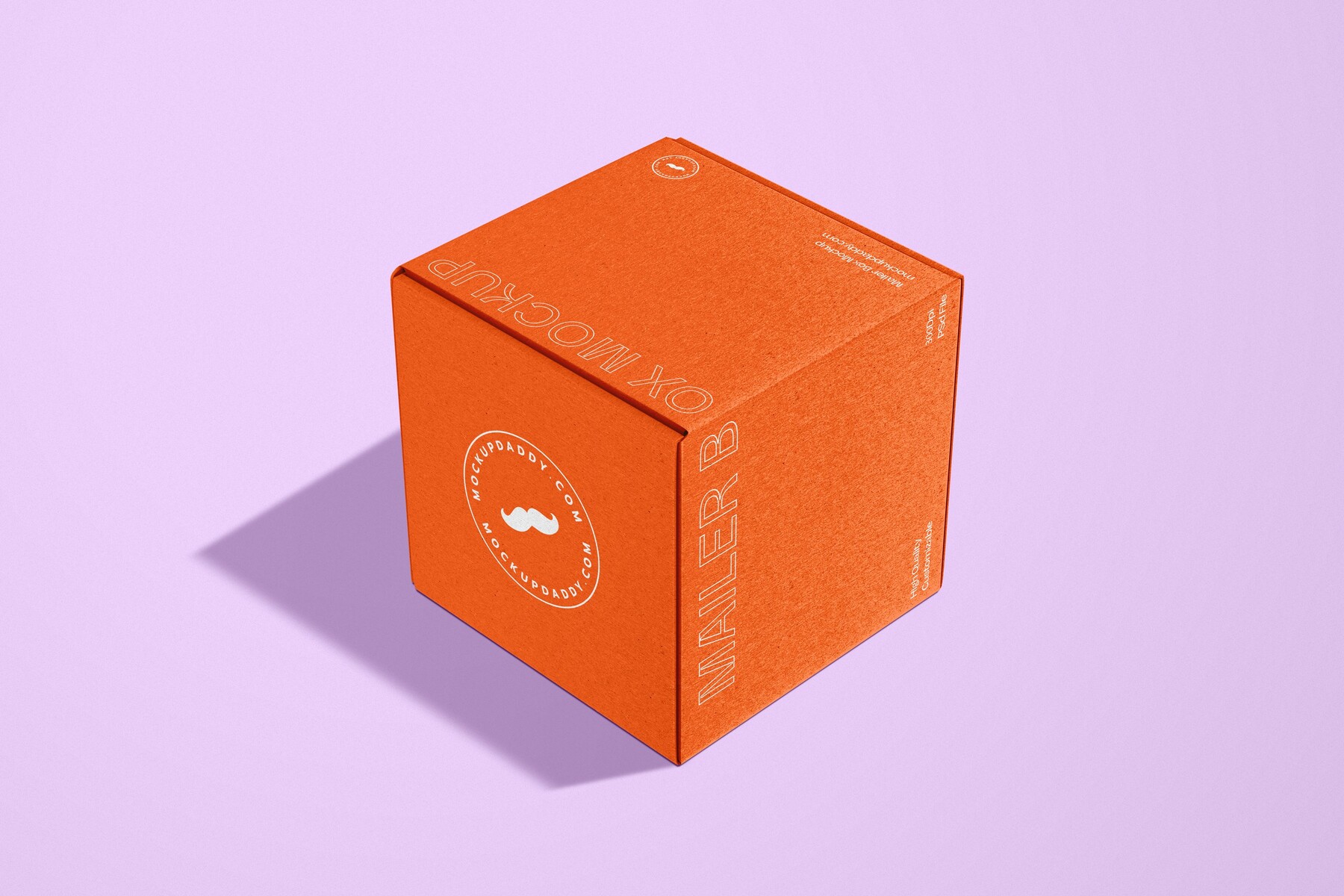 ArtStation Small Square Mailer Box Mockup Artworks