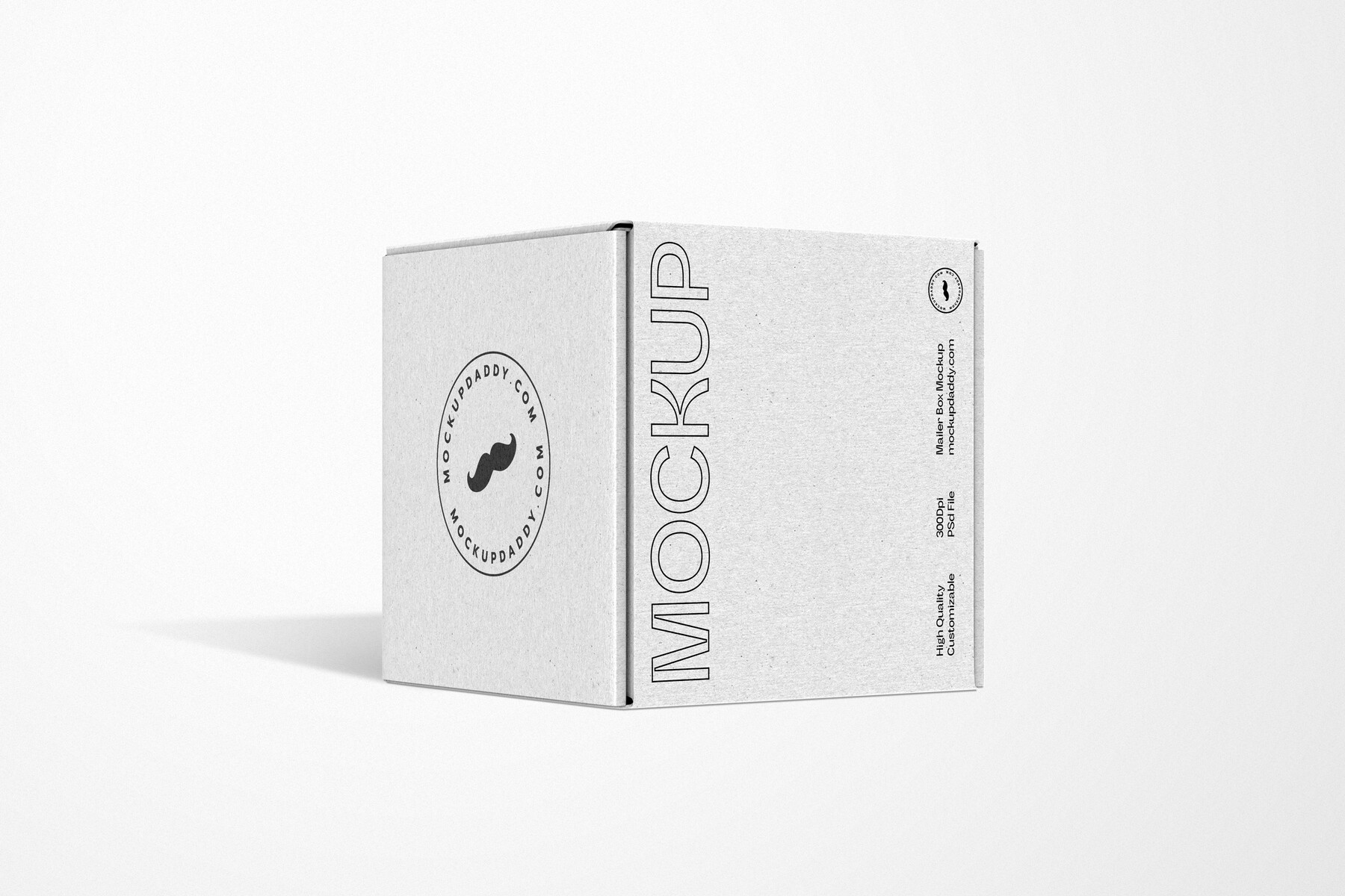 ArtStation Small Square Mailer Box Mockup Artworks