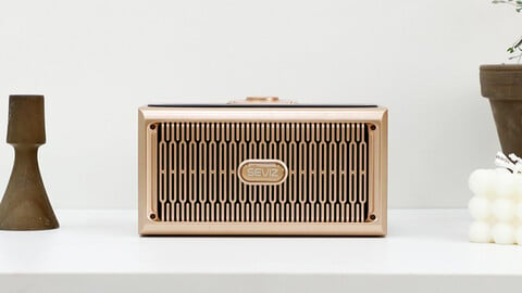 GOLD20W Wood 5.0 Bluetooth Speaker