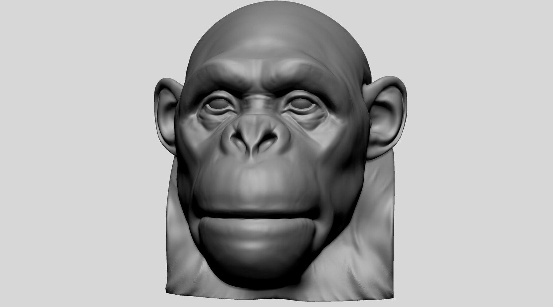 ArtStation - Chimp Head | Resources