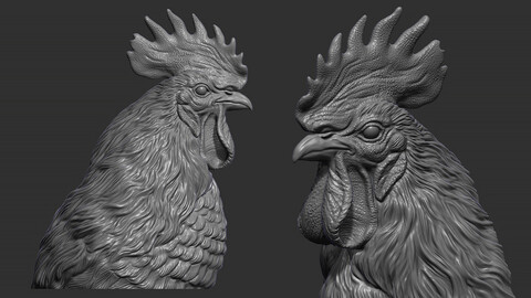 Rooster bust