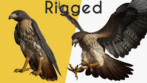 Stunning 3D Model of a Majestic Falcon Wildlife Enthusiasts