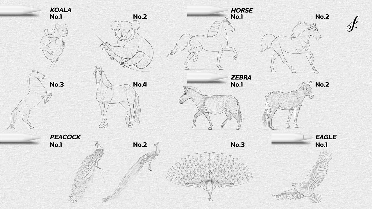 ArtStation Procreate Animal Stamps 95 Procreate Animal Brushes