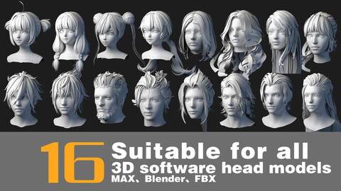16 Suitable for all 3D software head models